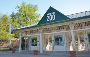 Maryland Zoo in Baltimore
